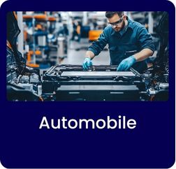 Lifestyle And Entertainment (12)