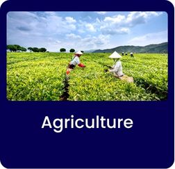 Lifestyle And Entertainment (5)